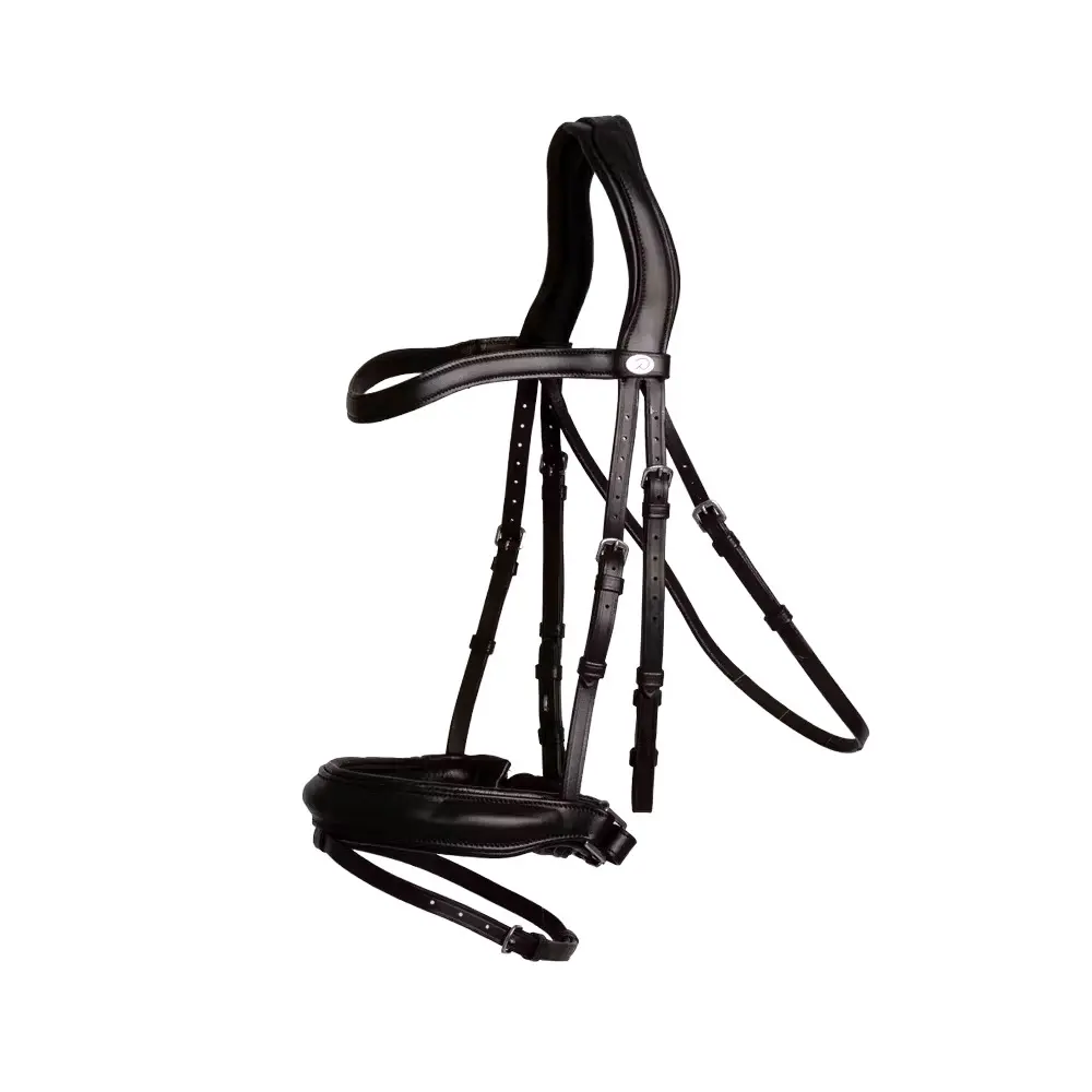 Soft leather riding bridle with noseband Dy'on