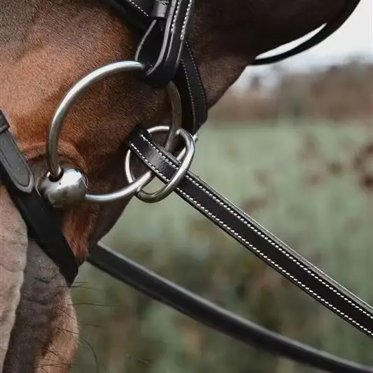 Rubber reins for horse with 7 leather stops, ring closure, without collar Dy'on