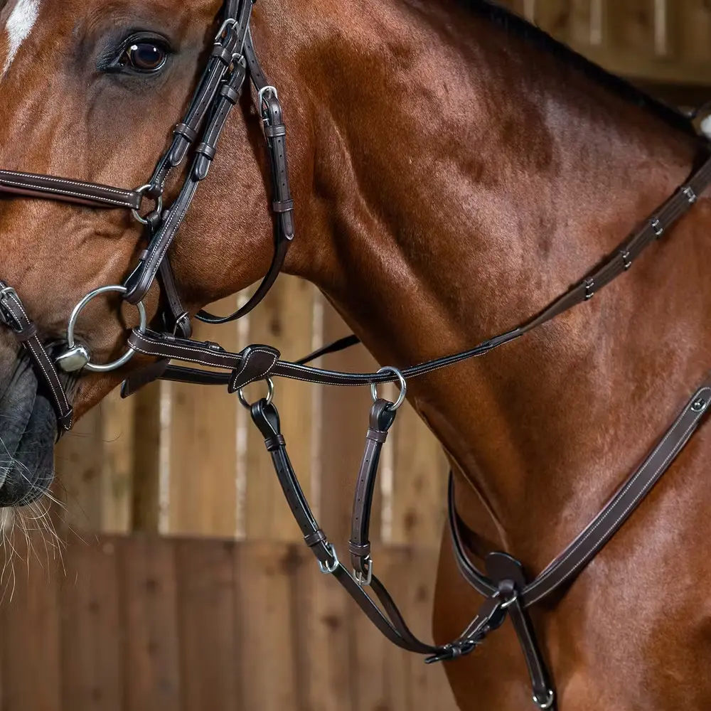 Fourchette di Martingale con anelli Dy'on Working
