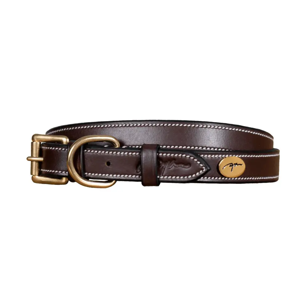Flat leather dog collar Dy'on