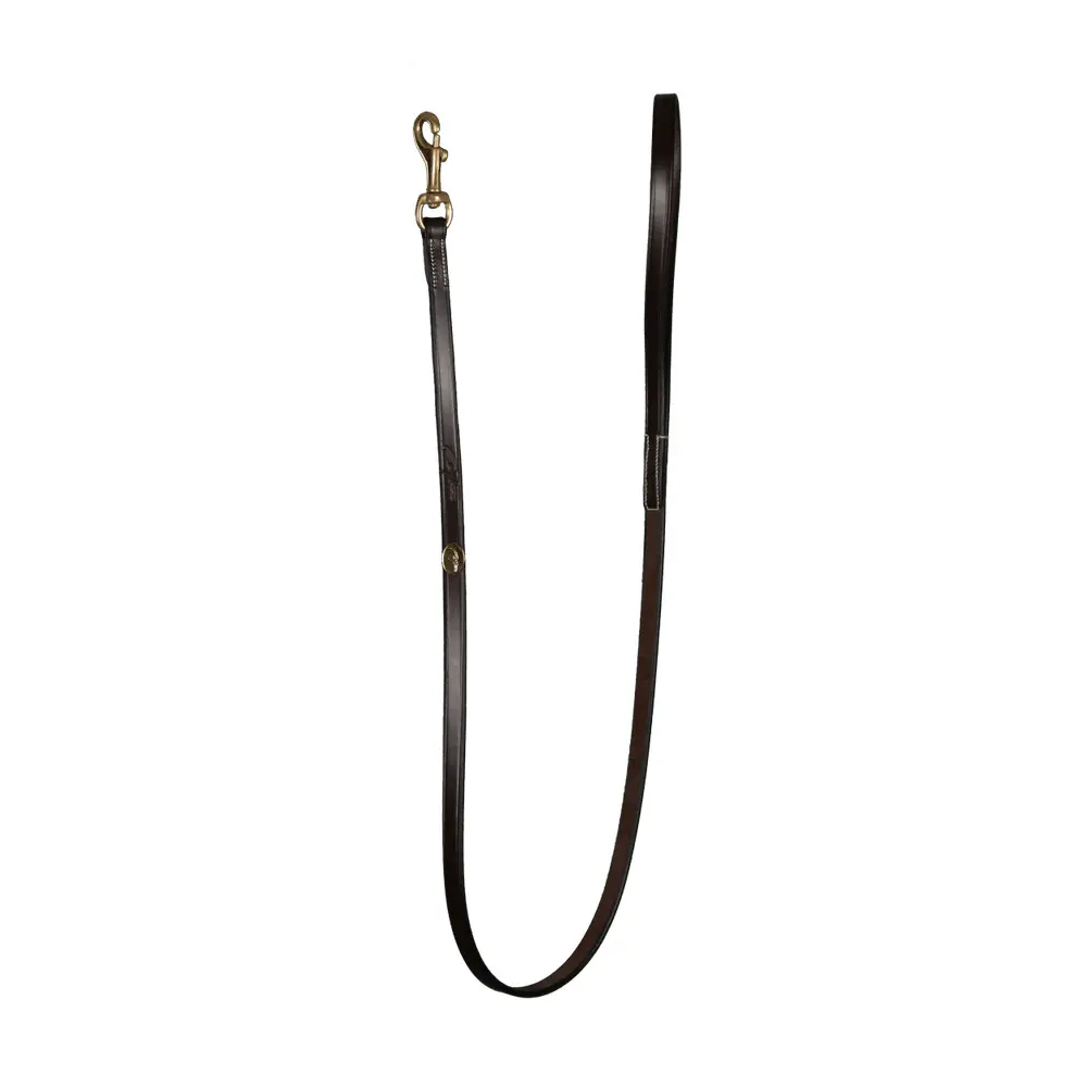 Classic dog leash Dy'on