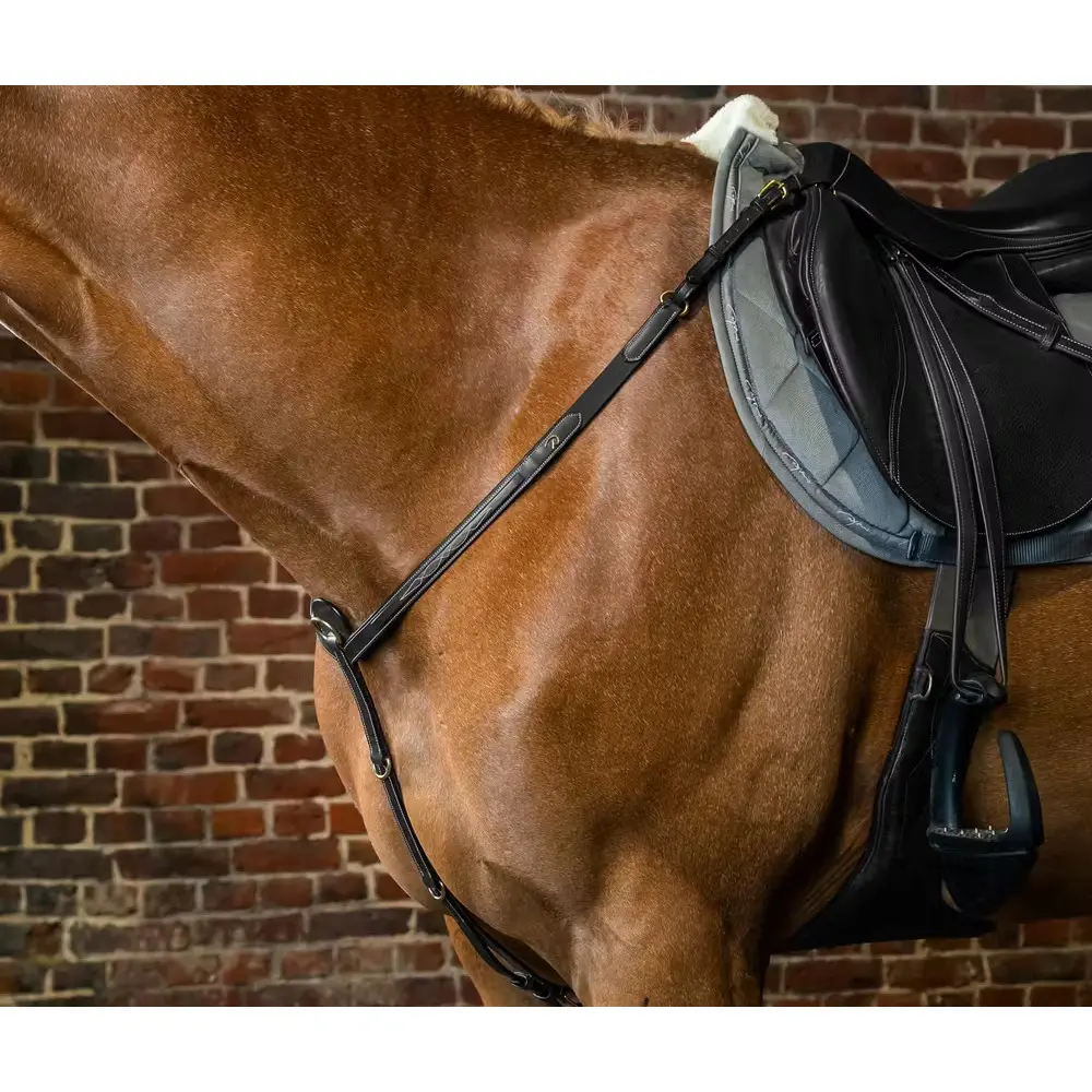 Pony hunting collar Dy'on
