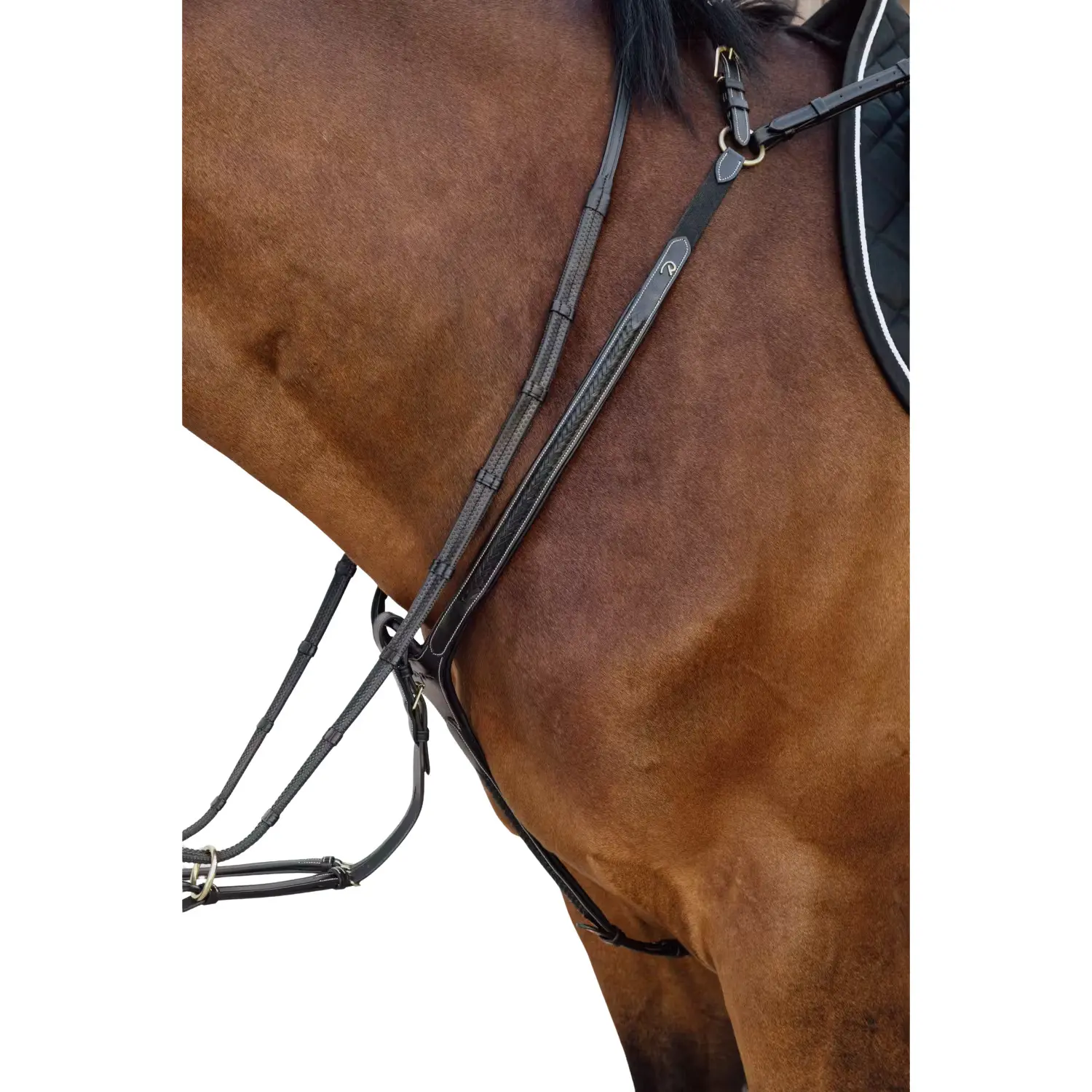 Braided bridge hunting collar for horses Dy'on