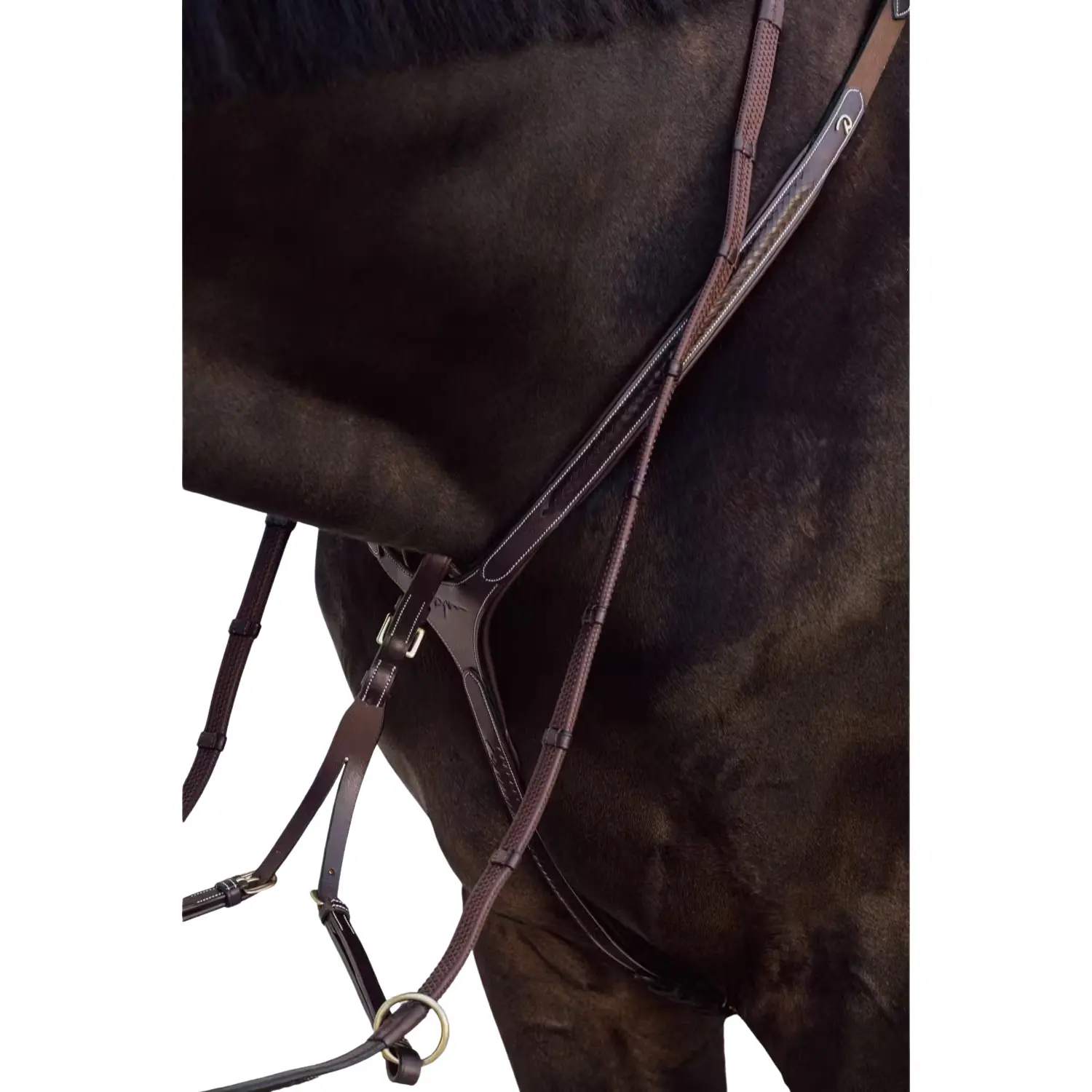 Braided bridge hunting collar for horses Dy'on