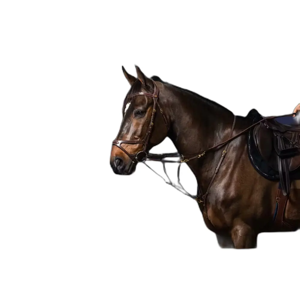 Martingale fork Dy'on Howlett