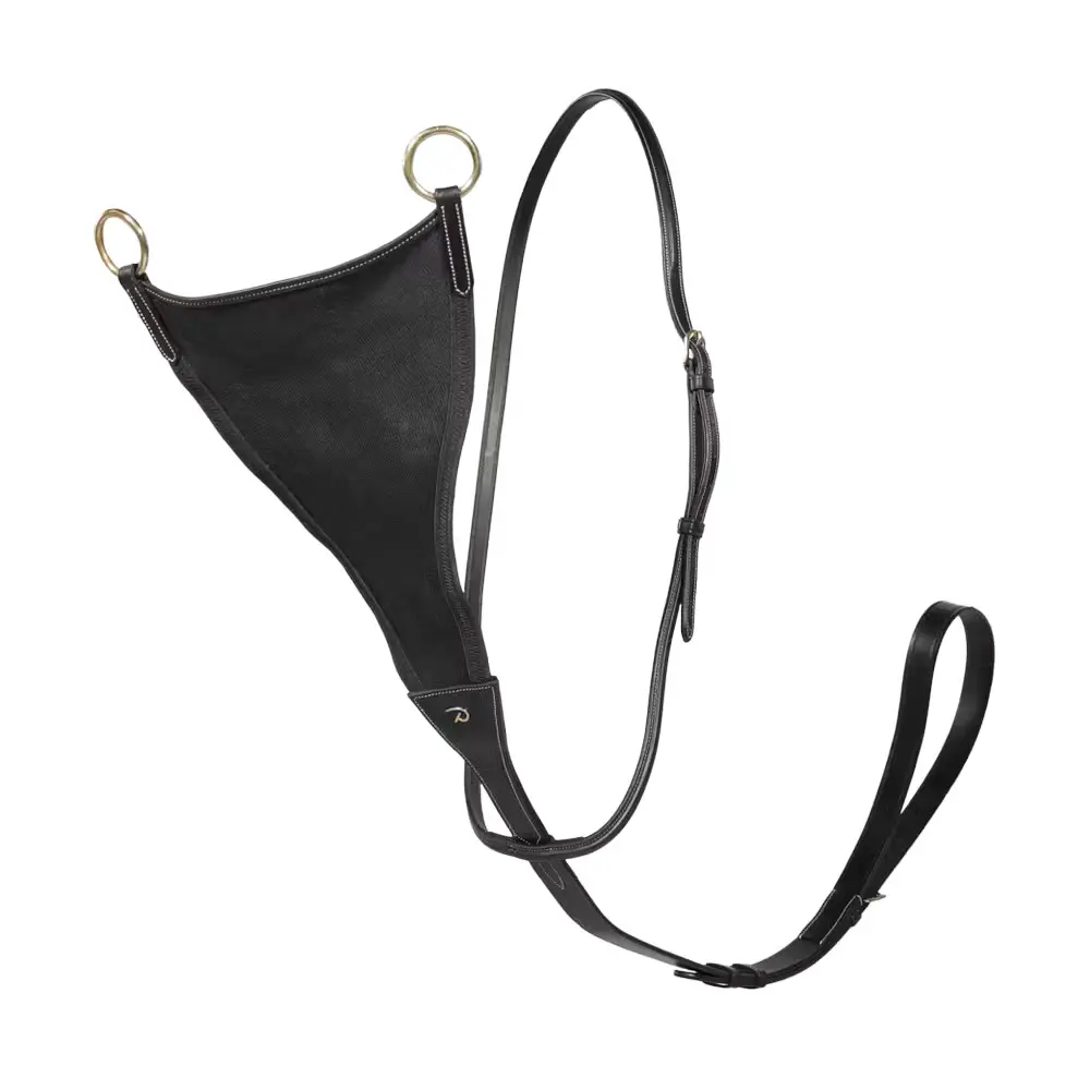 Elastic full martingale for horse Dy'on
