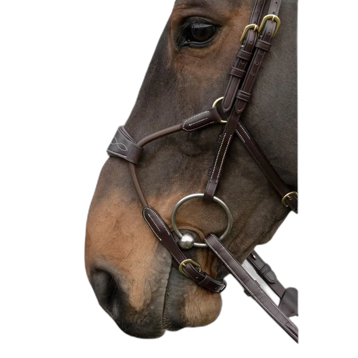 Horse cheek pieces Dy'on Hybride