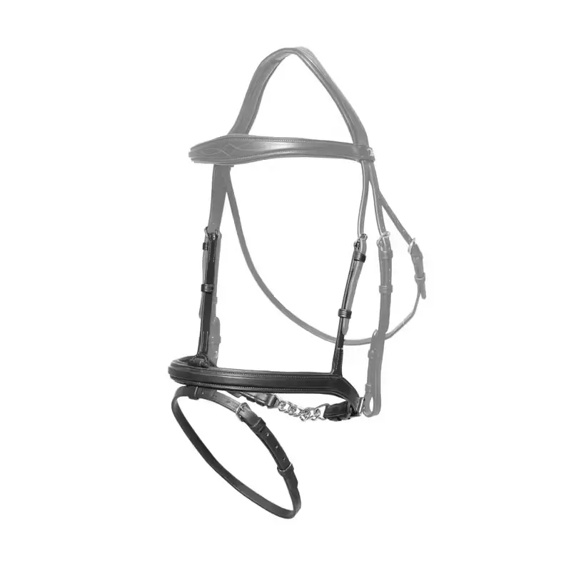 Combined bridle for horse with chains Dy'on