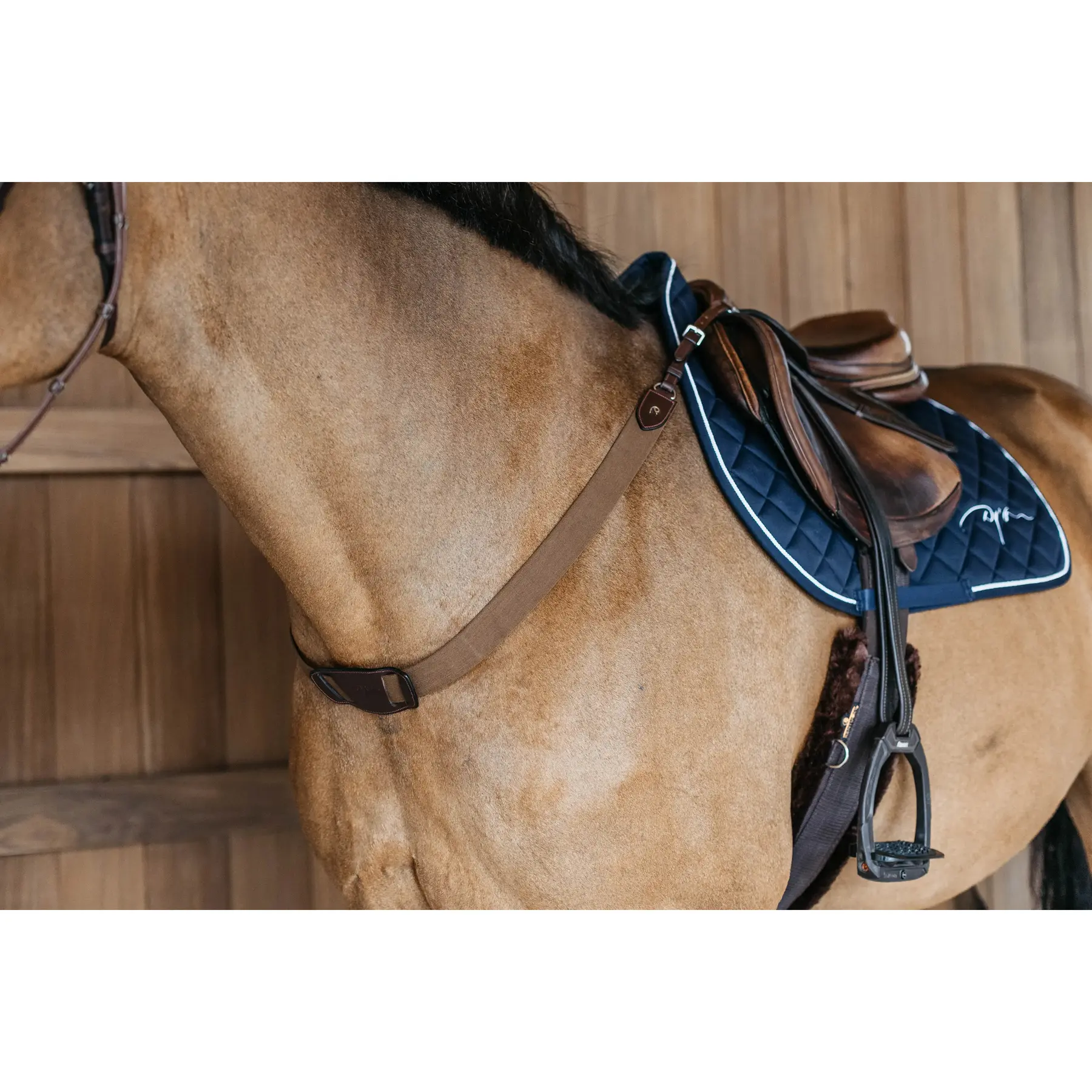 Elastic breastplate Dy'on
