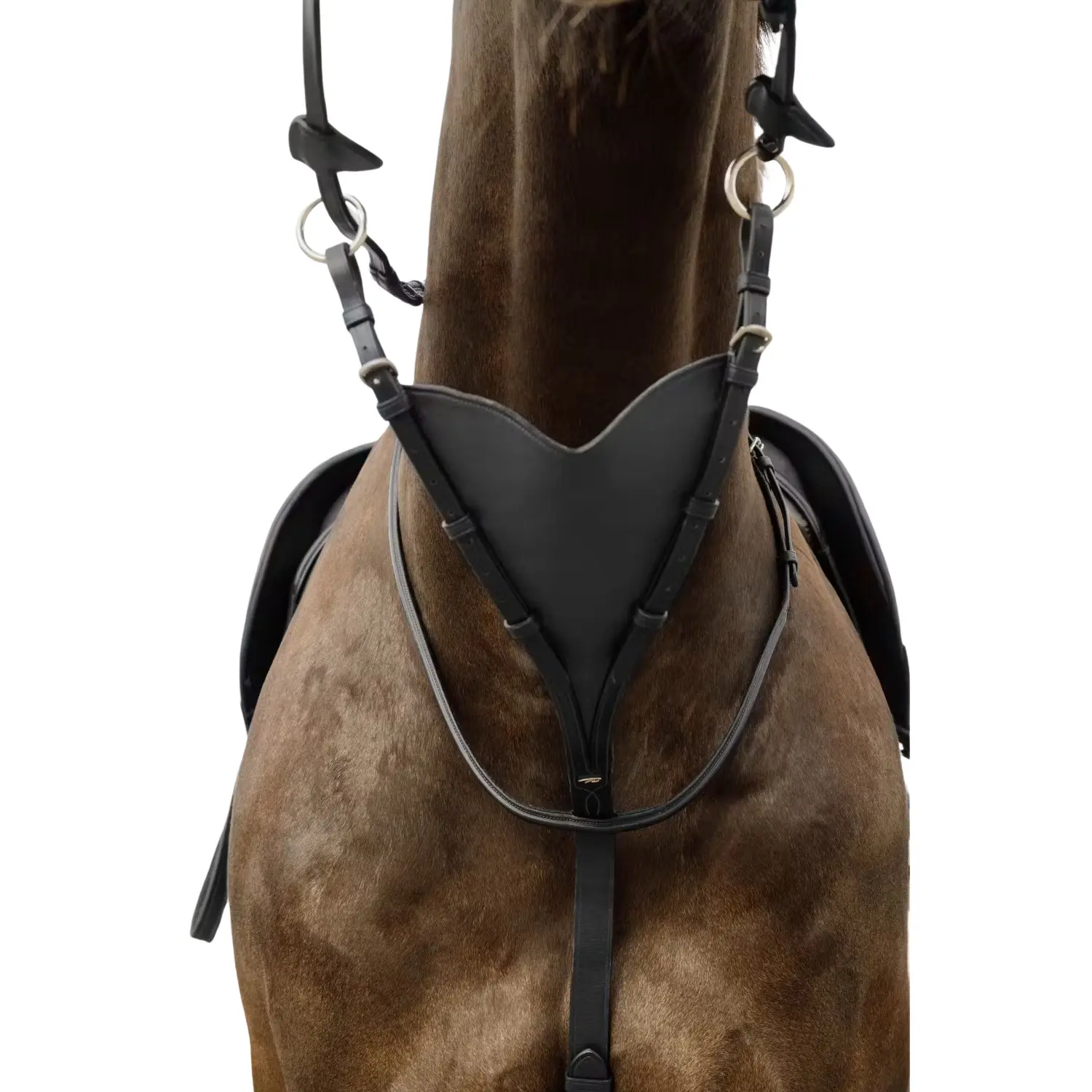 Soft full leather horse martingale Dy'on