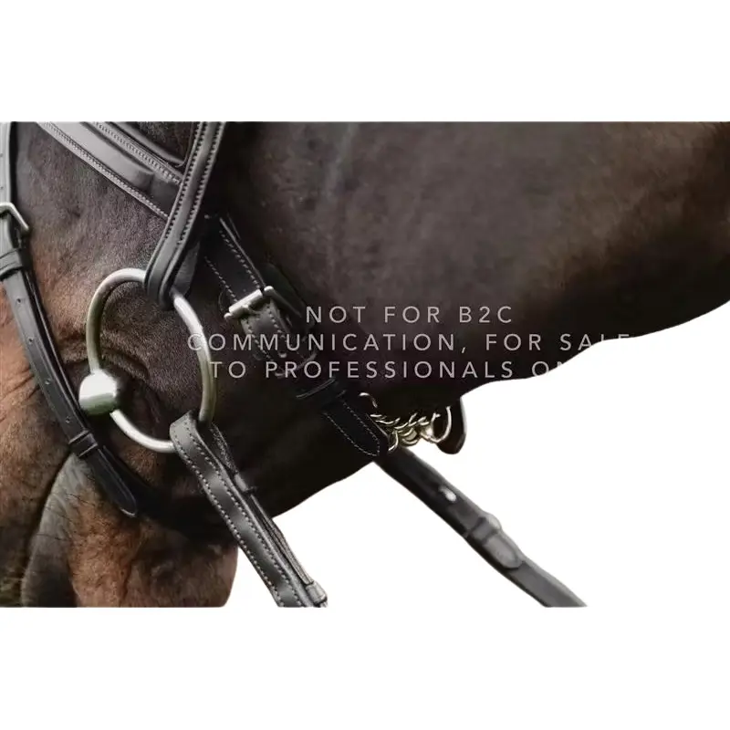 Single chain horse bridle Dy'on 5/8"