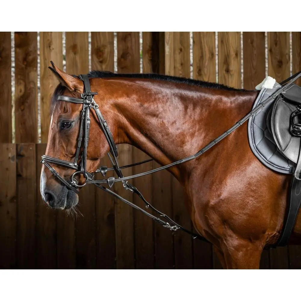 Nylon horse bridle accessory Dy'on Gogue