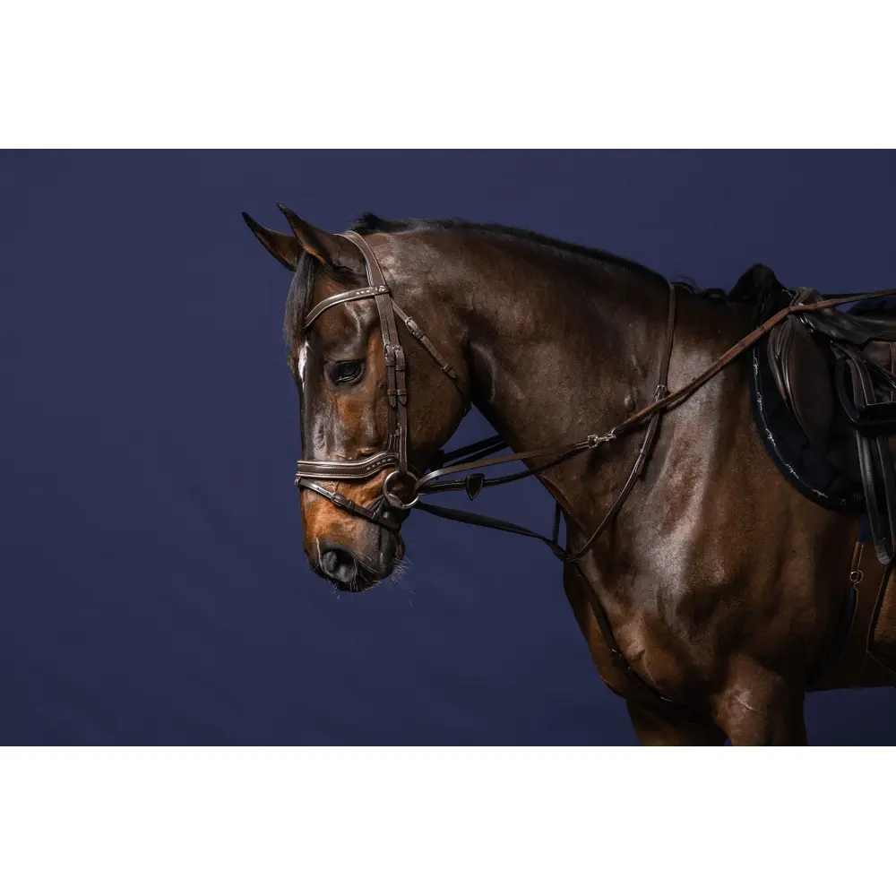 Complete horse longe reins Dy'on Howlett