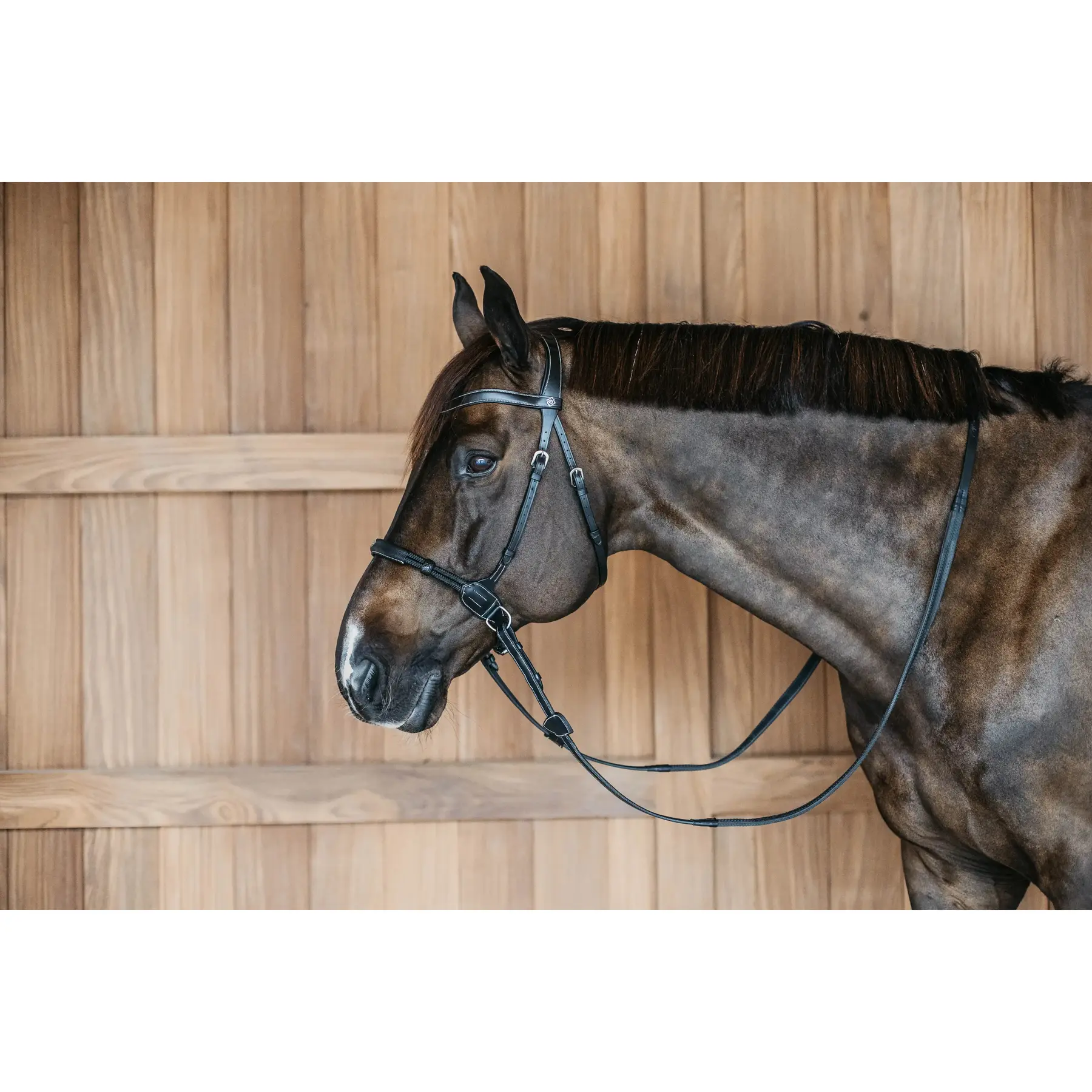 Bitless bridles Dy'on
