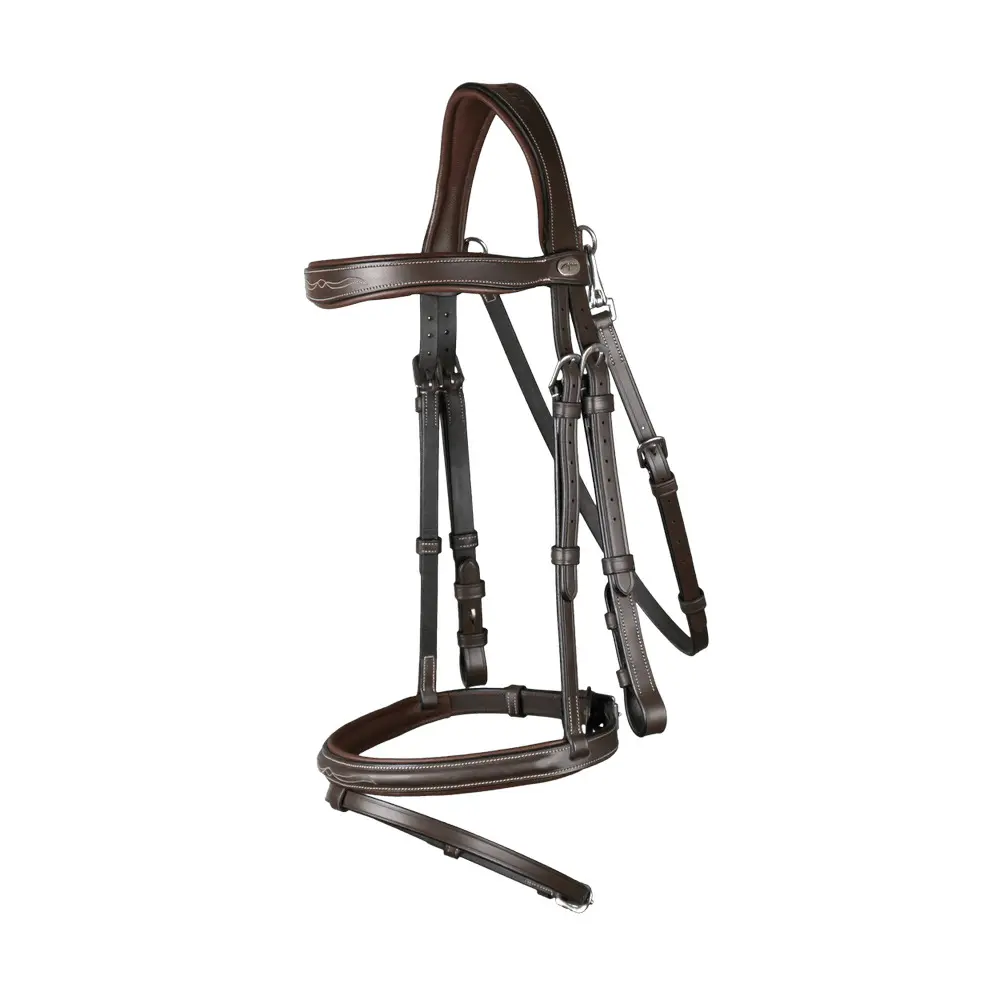 Briglia da equitazione combinata all'inglese con moschettone Dy'on