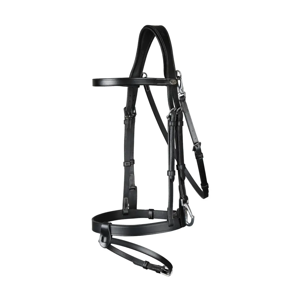 Flat leather snaffle bridle with snap hooks Dy'on