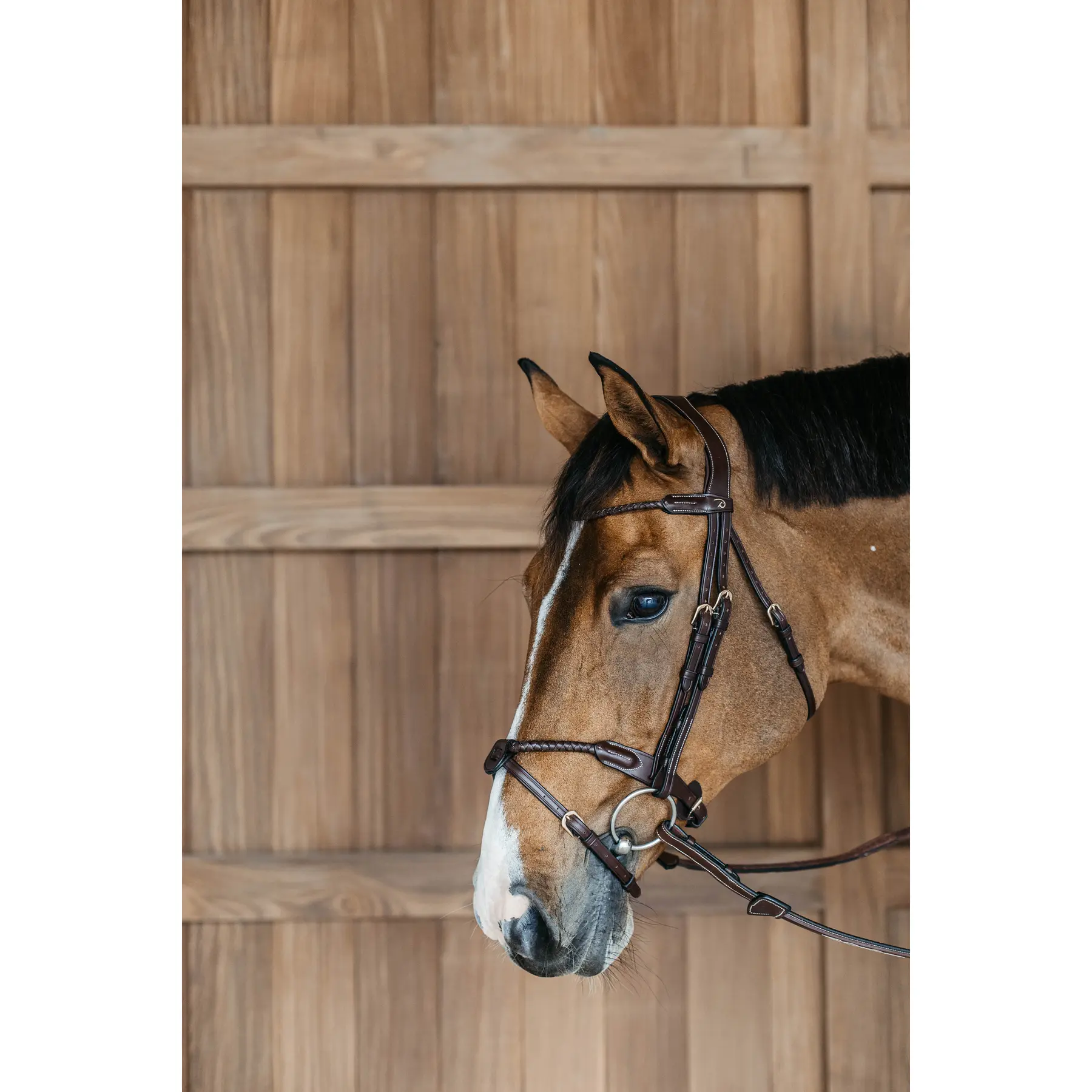 Anatomical round combi-braided riding bridle Dy'on