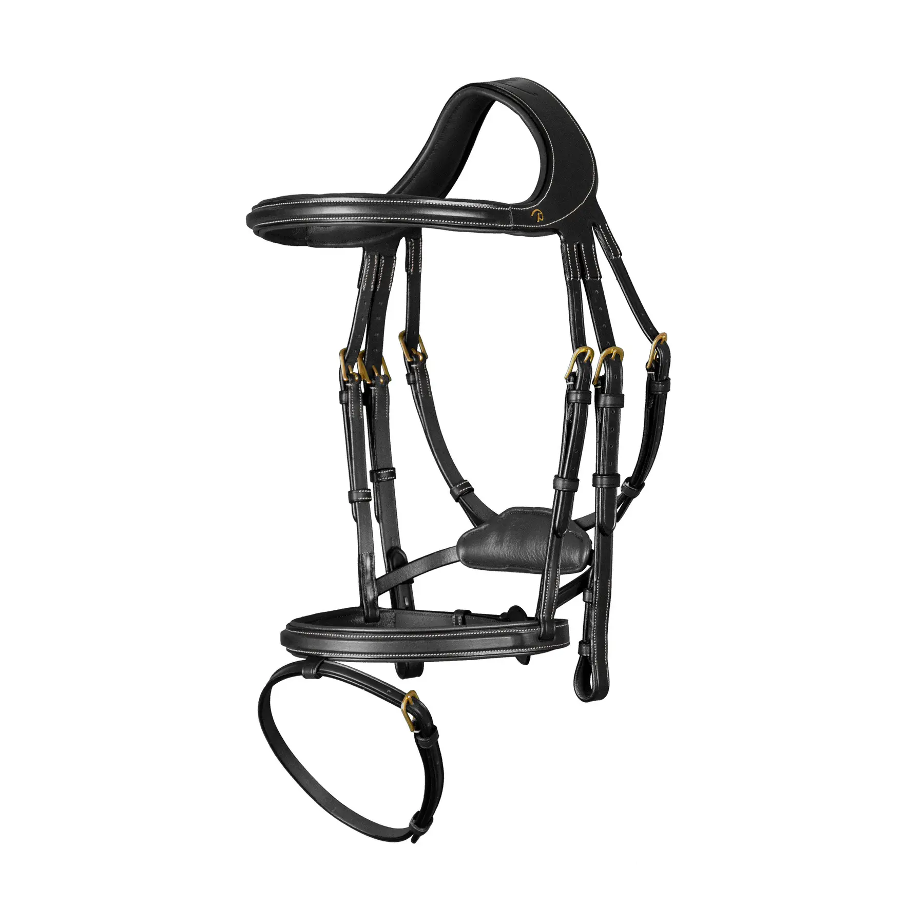 Combined riding bridle and noseband Dy'on Différence