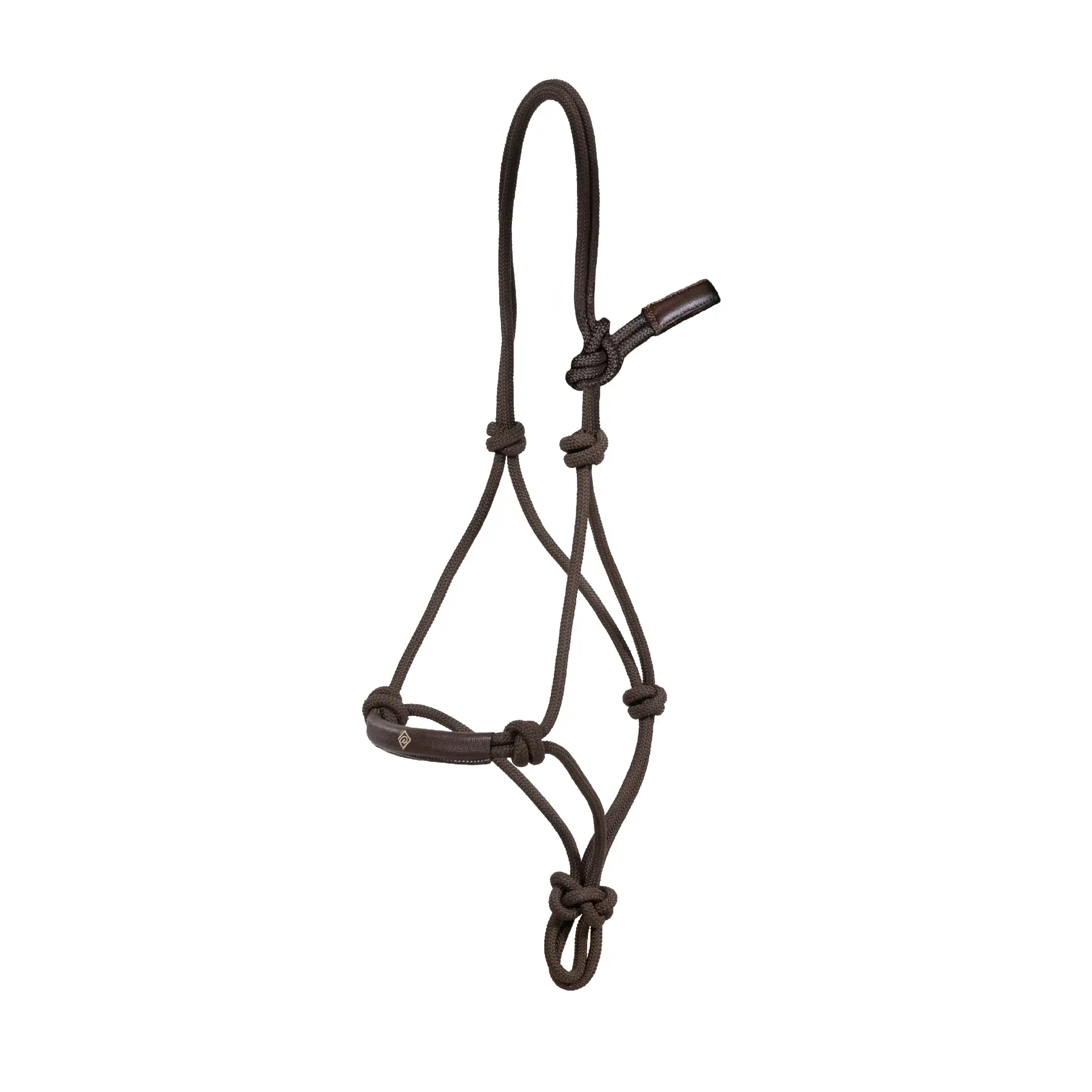 Horse training halter Dy'on