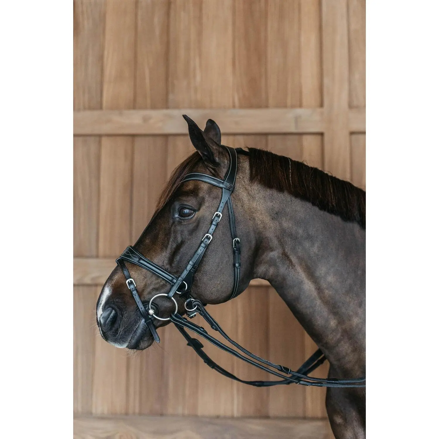 Riding bridle Dy'on Working Motion