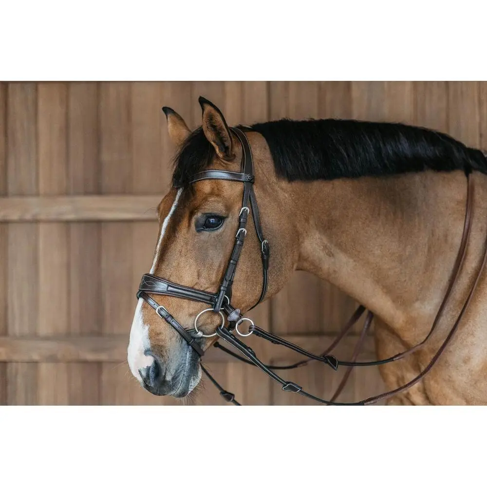 Riding bridle Dy'on Working Motion