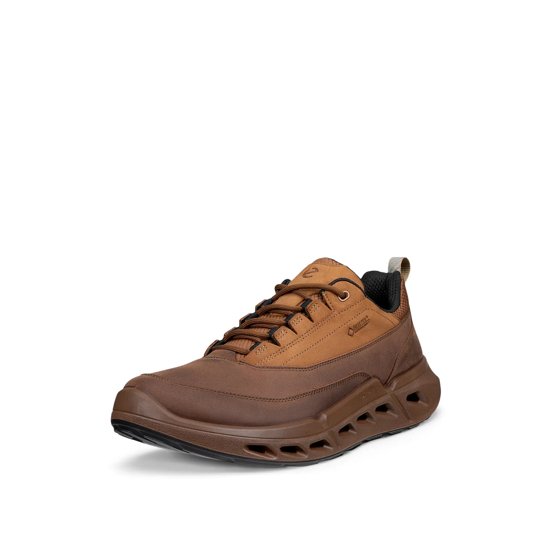 Baskets Ecco Biom 720