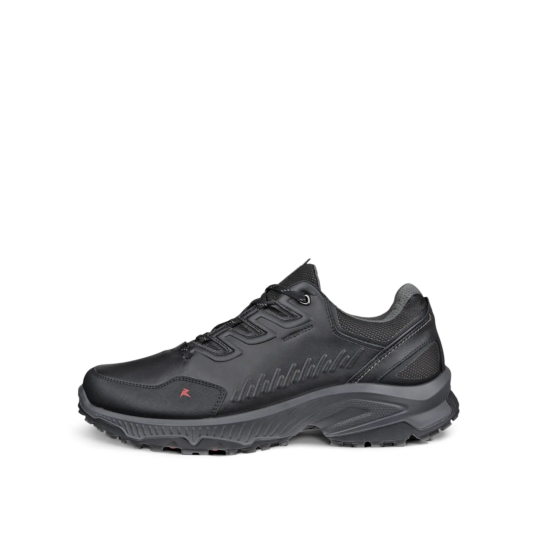 Baskets Ecco Receptor XP