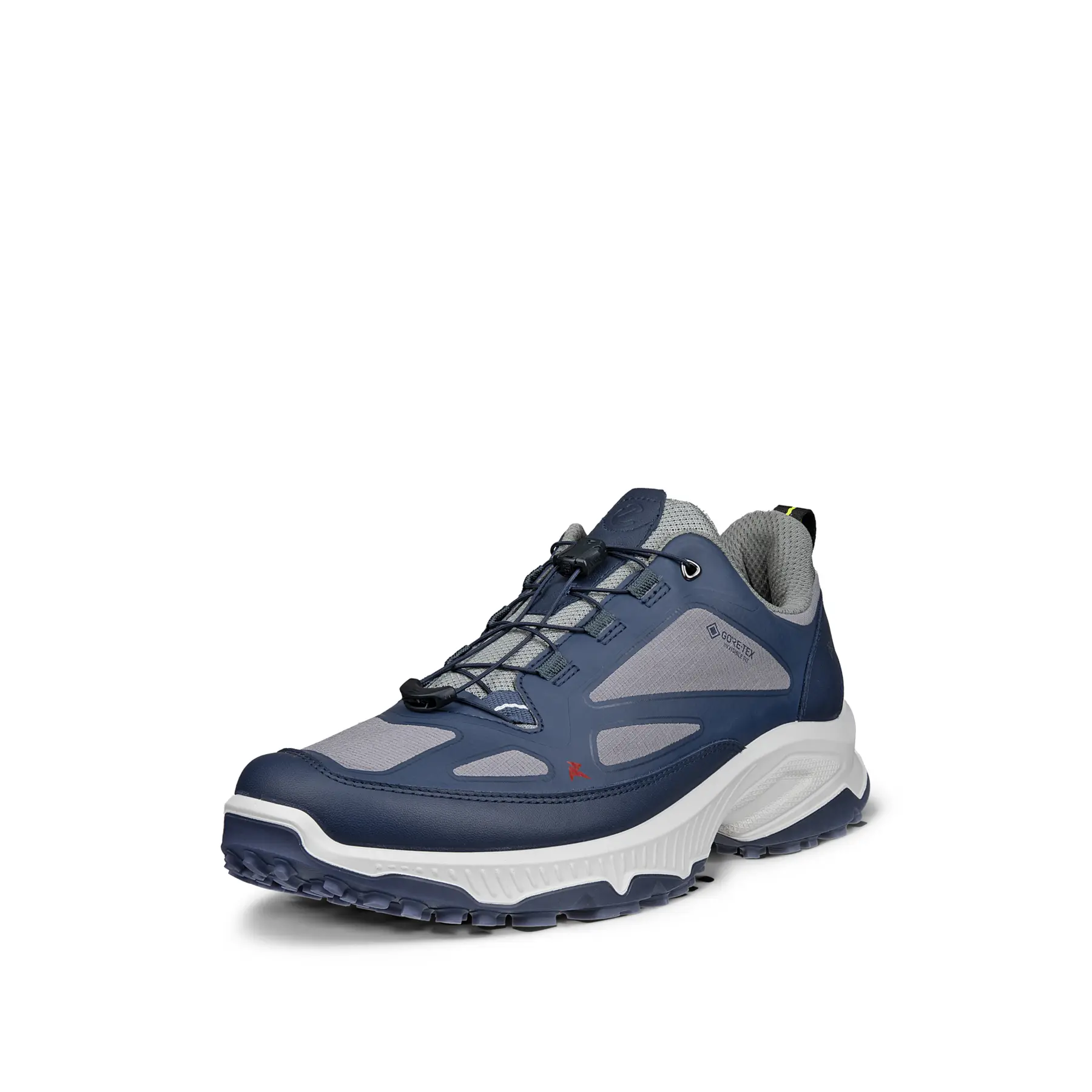 Baskets Ecco Receptor GTX INV Fit