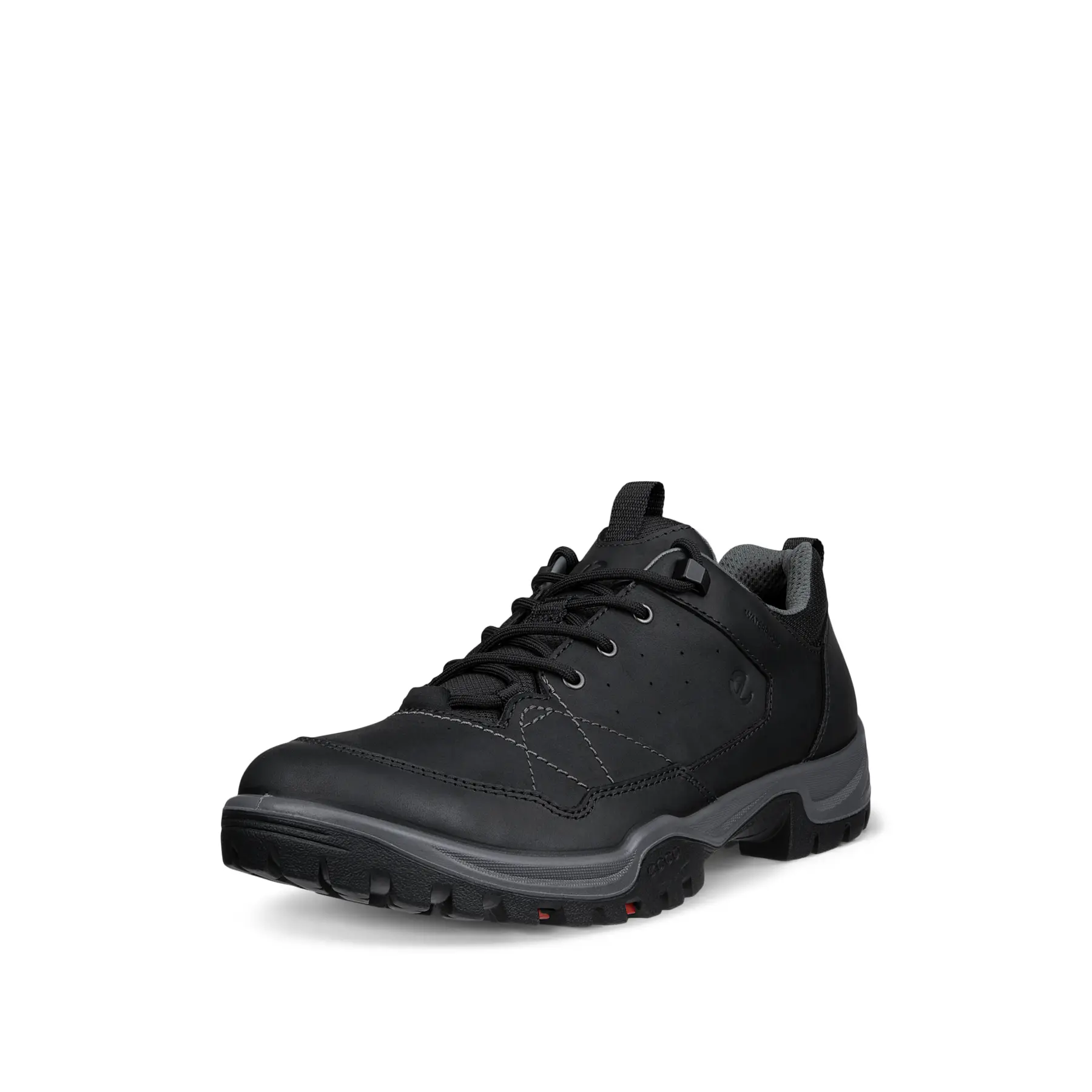 Wandelschoenen Ecco Receptor Trekk