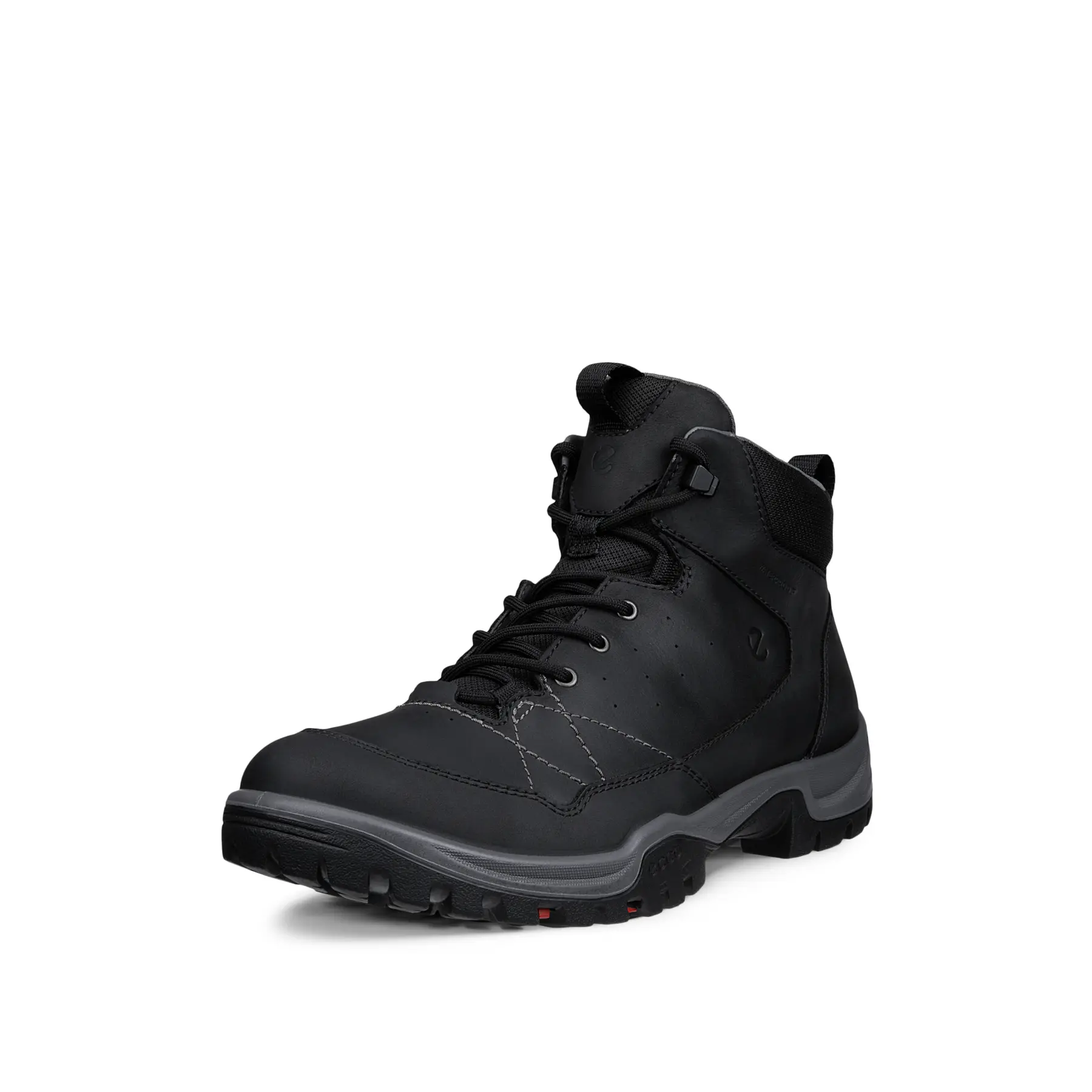 Wandelschoenen Ecco Receptor Trekk mid