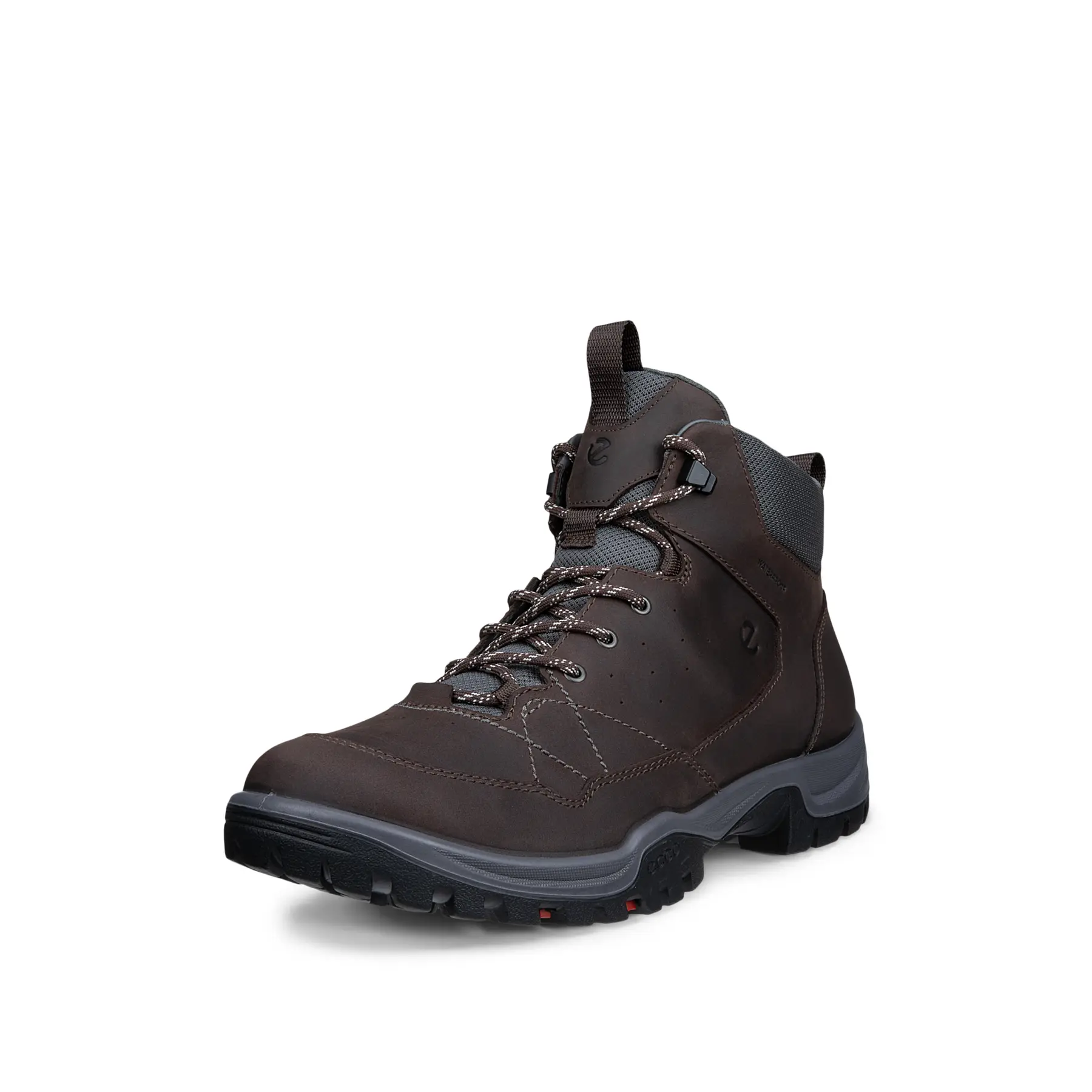 Wandelschoenen Ecco Receptor Trekk mid