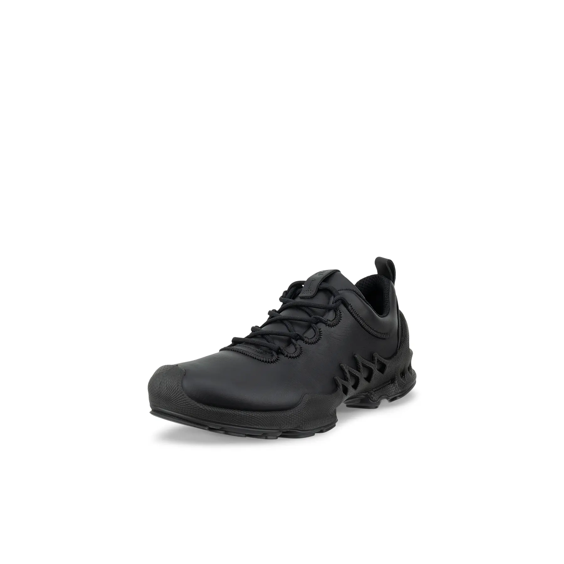 Sneakers Ecco Biom Aex