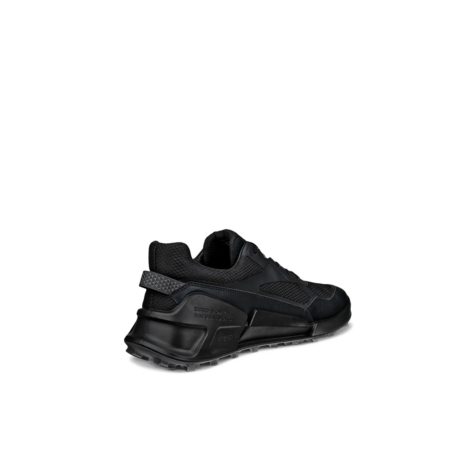 Wandelschoenen Ecco Biom 2.1 X Mountain