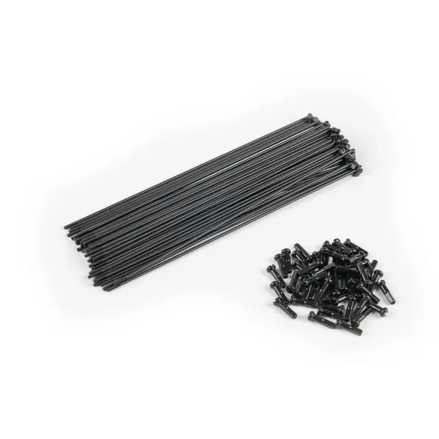 Rayon Eclat PG (x40)