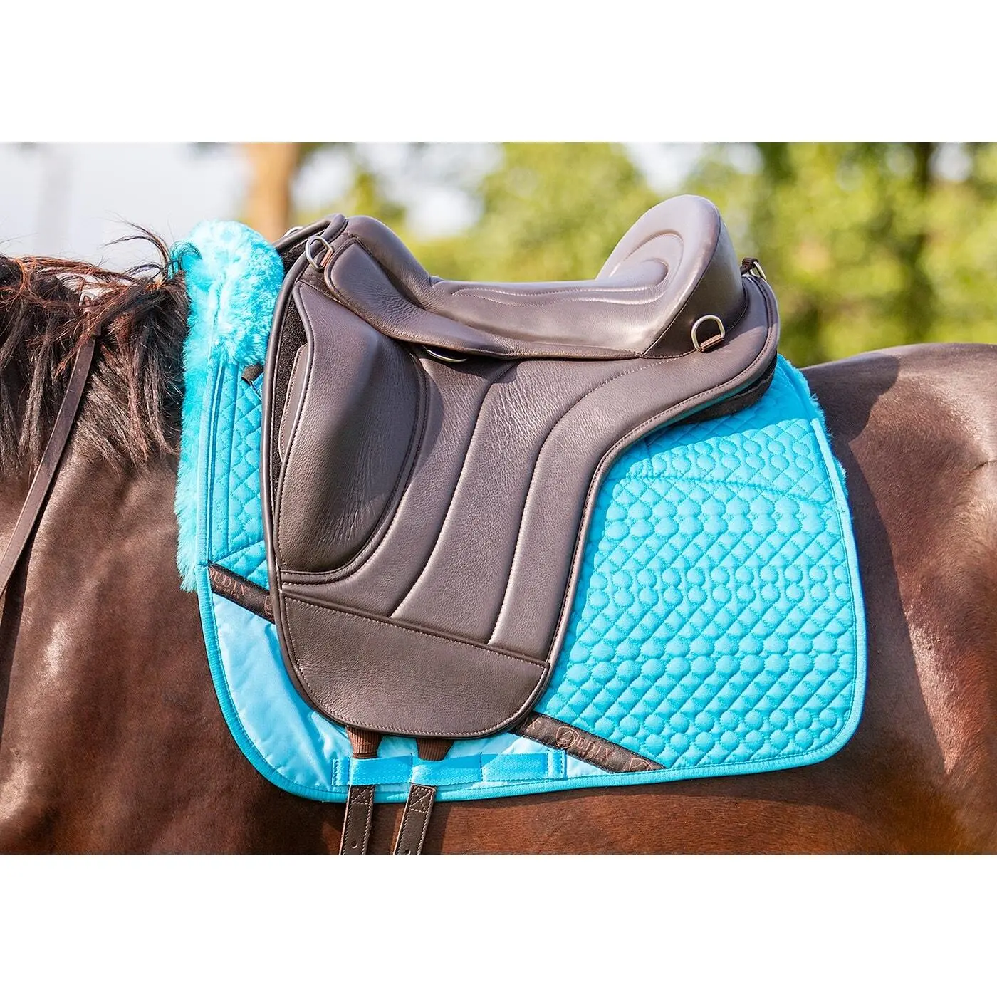 Sella da equitazione in pelle Edix Saddles Union