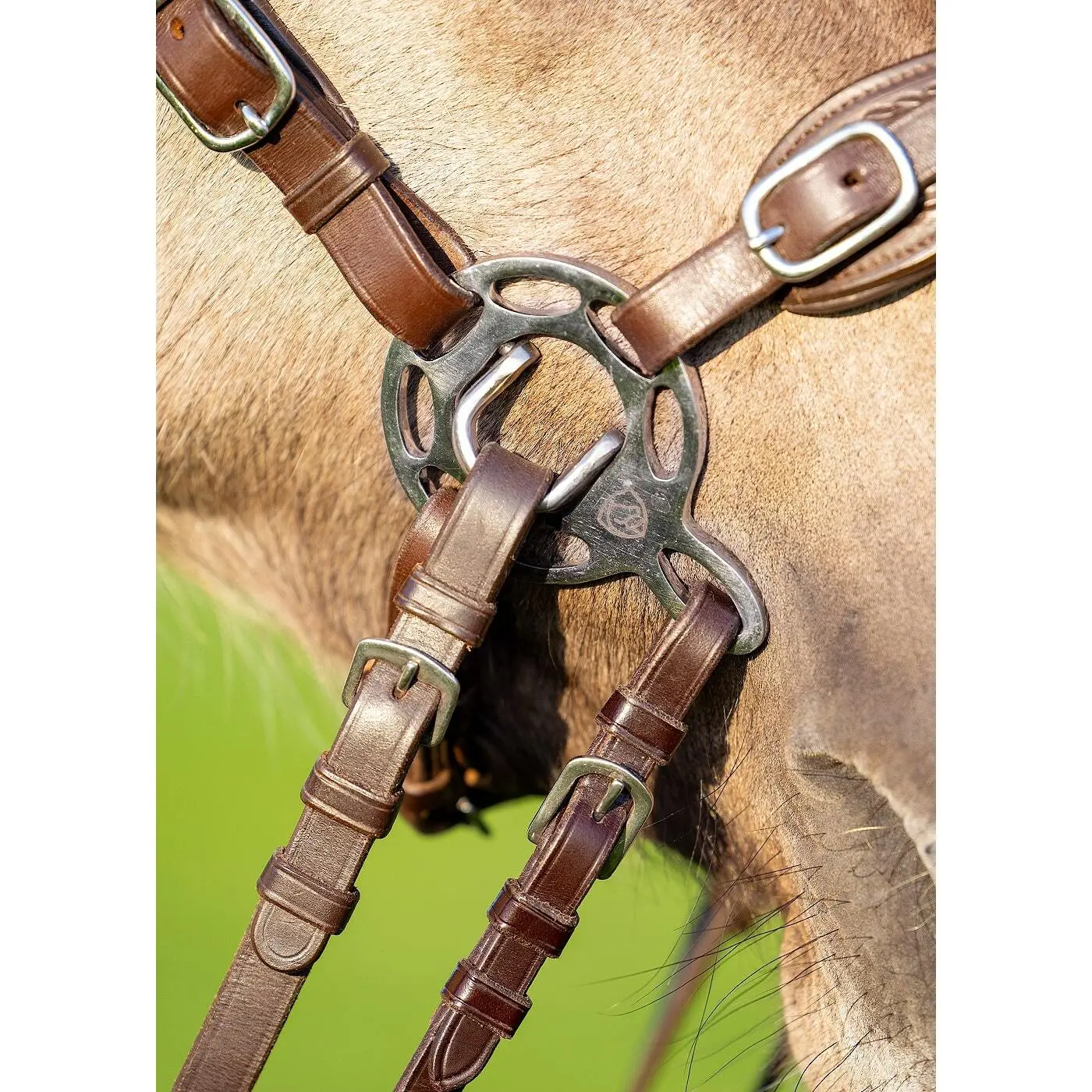 Hackamore for horse Edix Saddles Hack-Halo-Pro