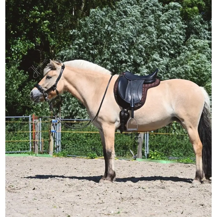 Dressage saddle pad  Edix Saddles Contour