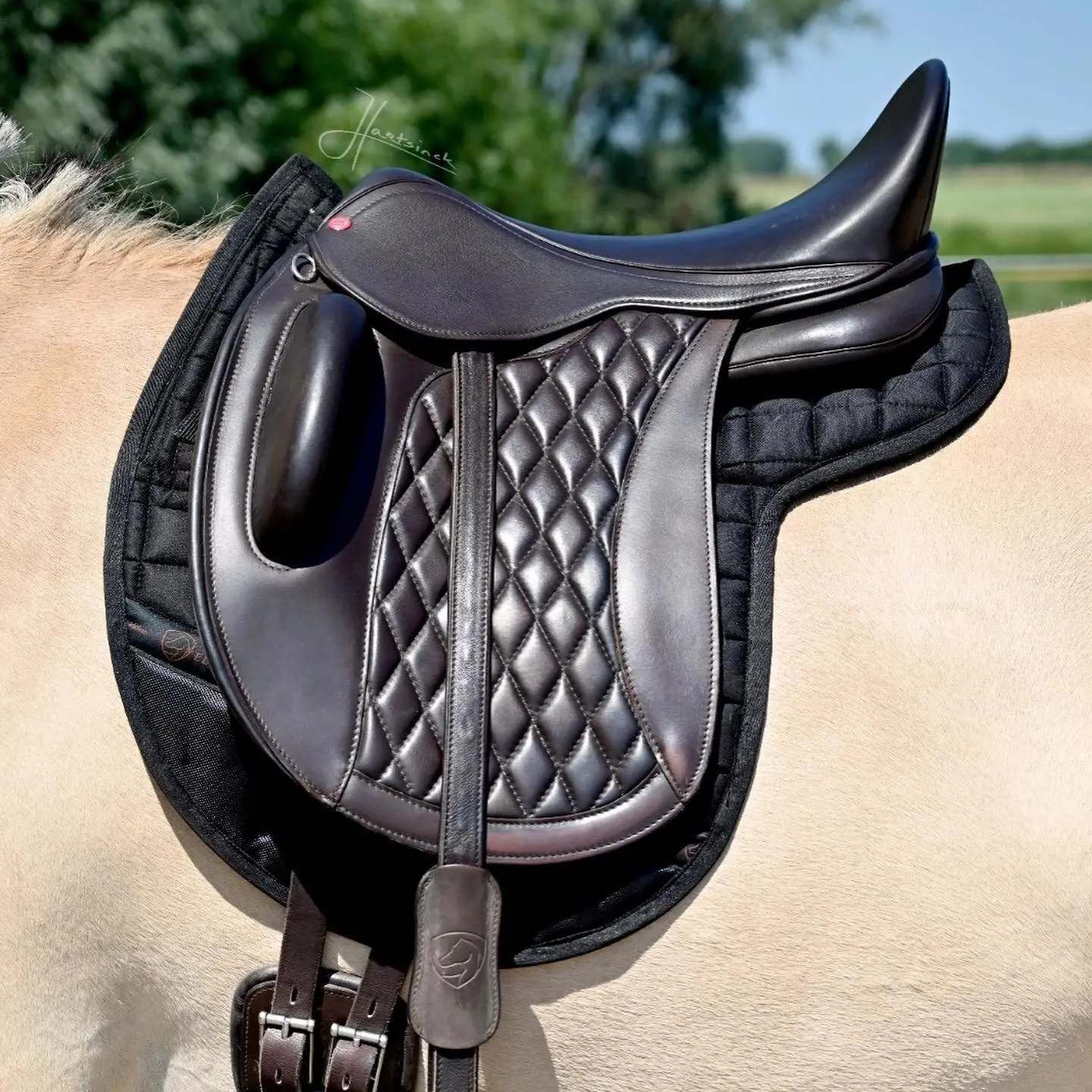 Dressage saddle pad  Edix Saddles Contour