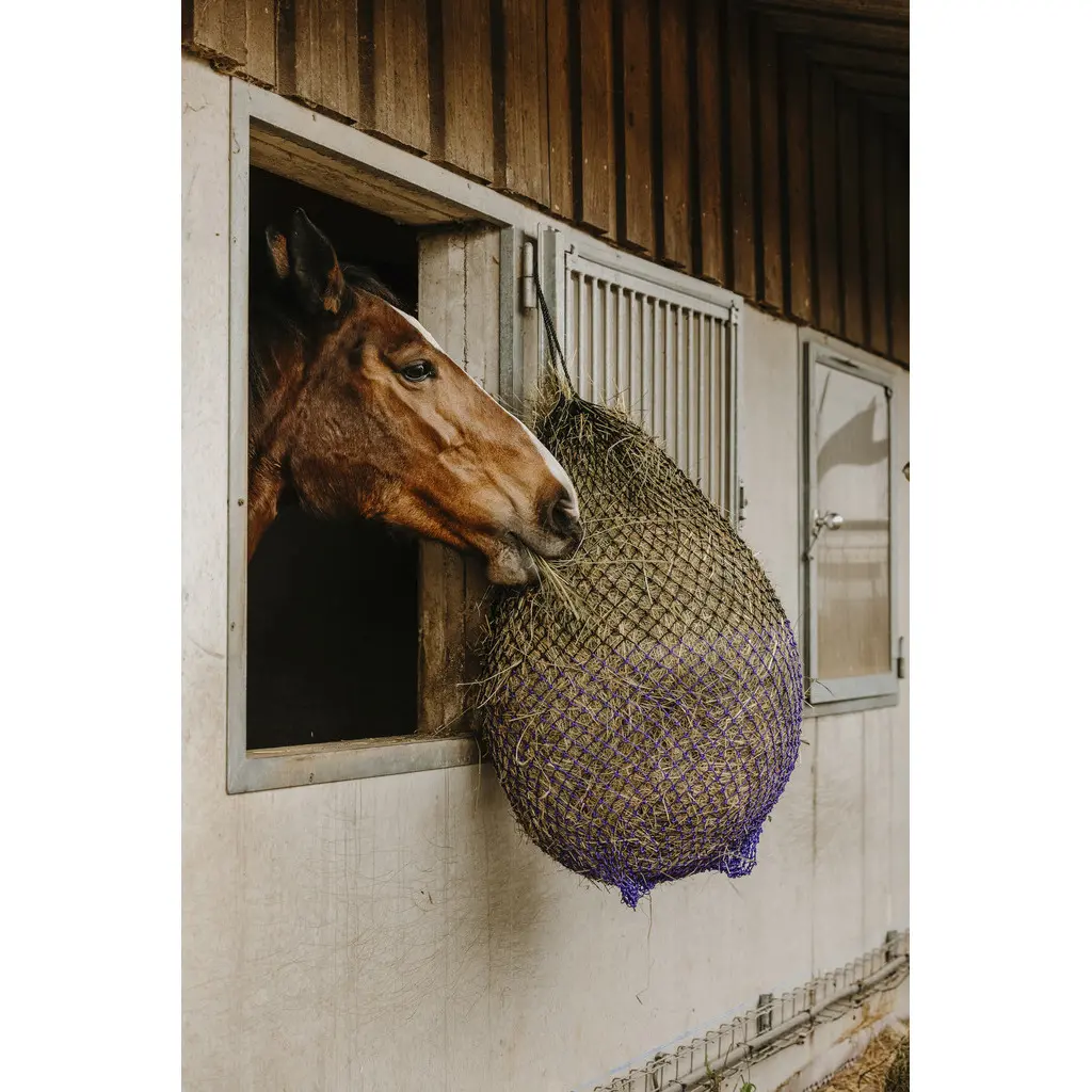 Hippotonic Noir Filet À Foin Fin