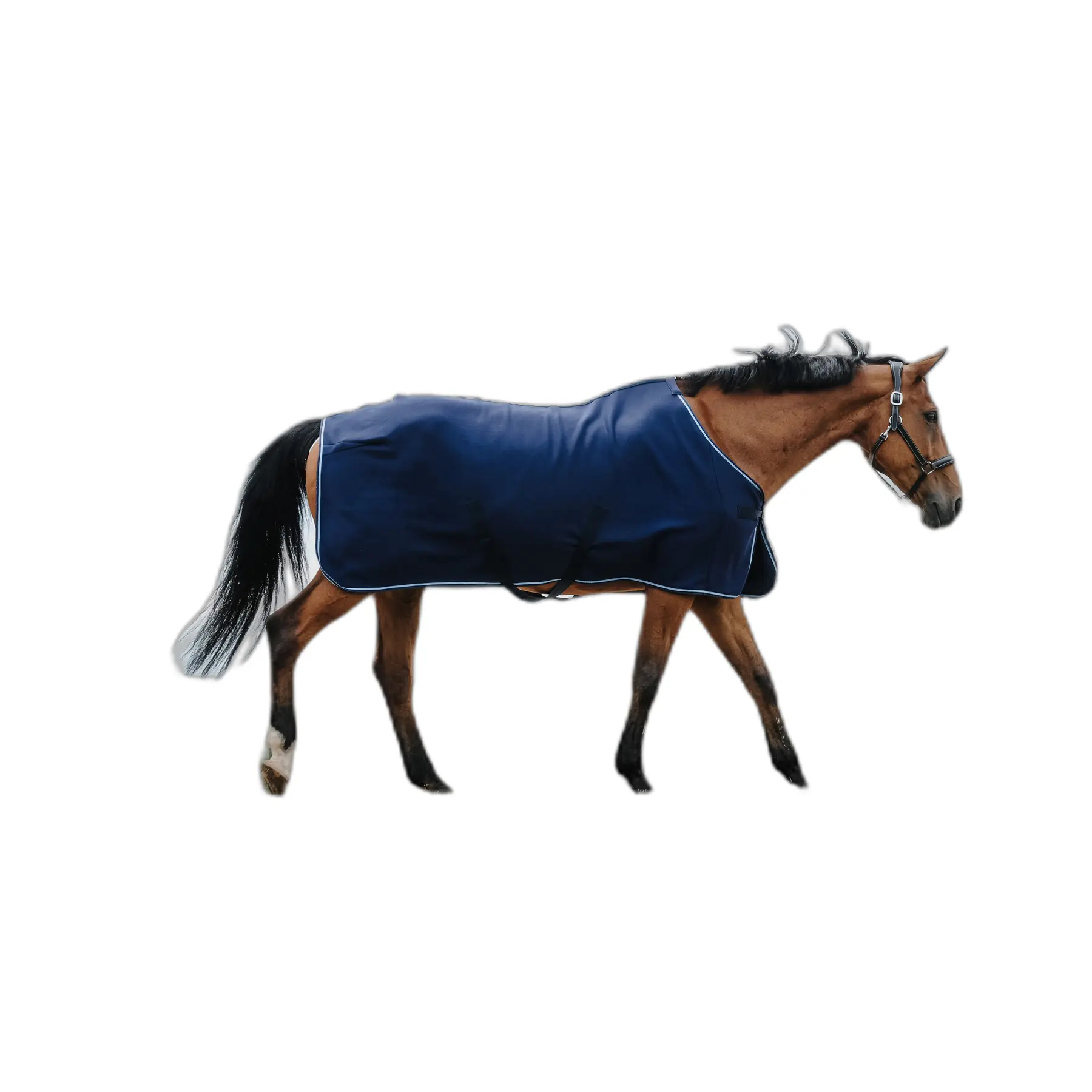 Camicia di asciugatura per cavalli Riding World