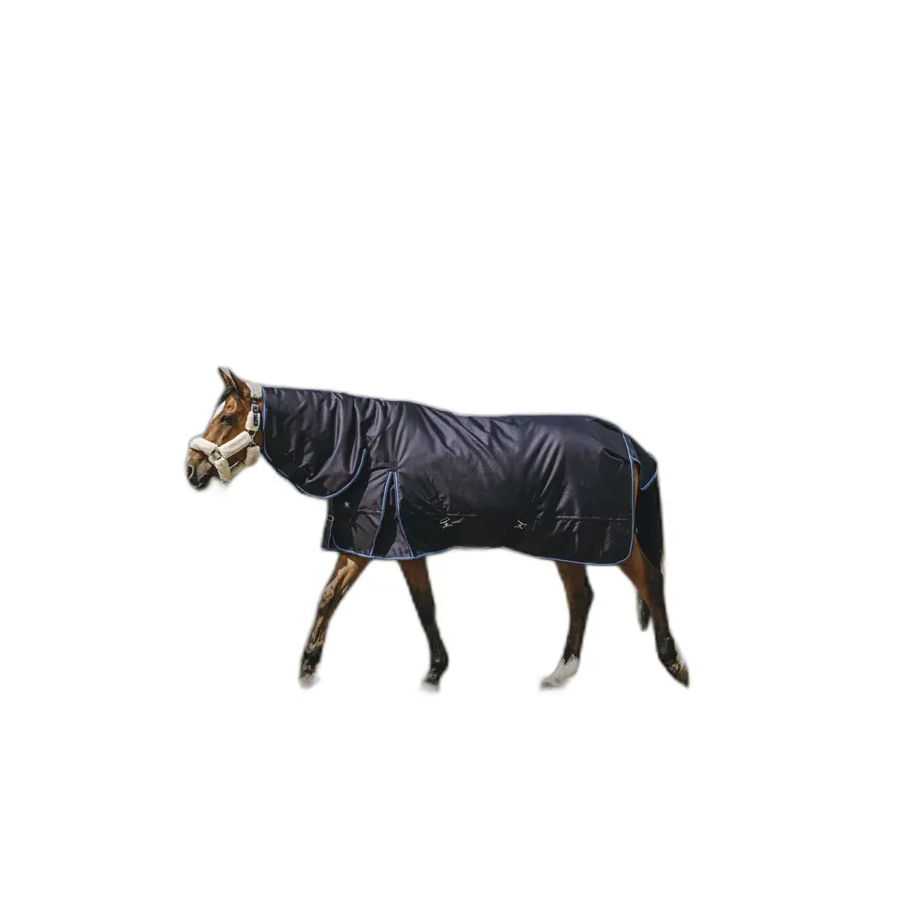 Outdoor-Decke für Pferde Riding World Eco 600D Combo 220g