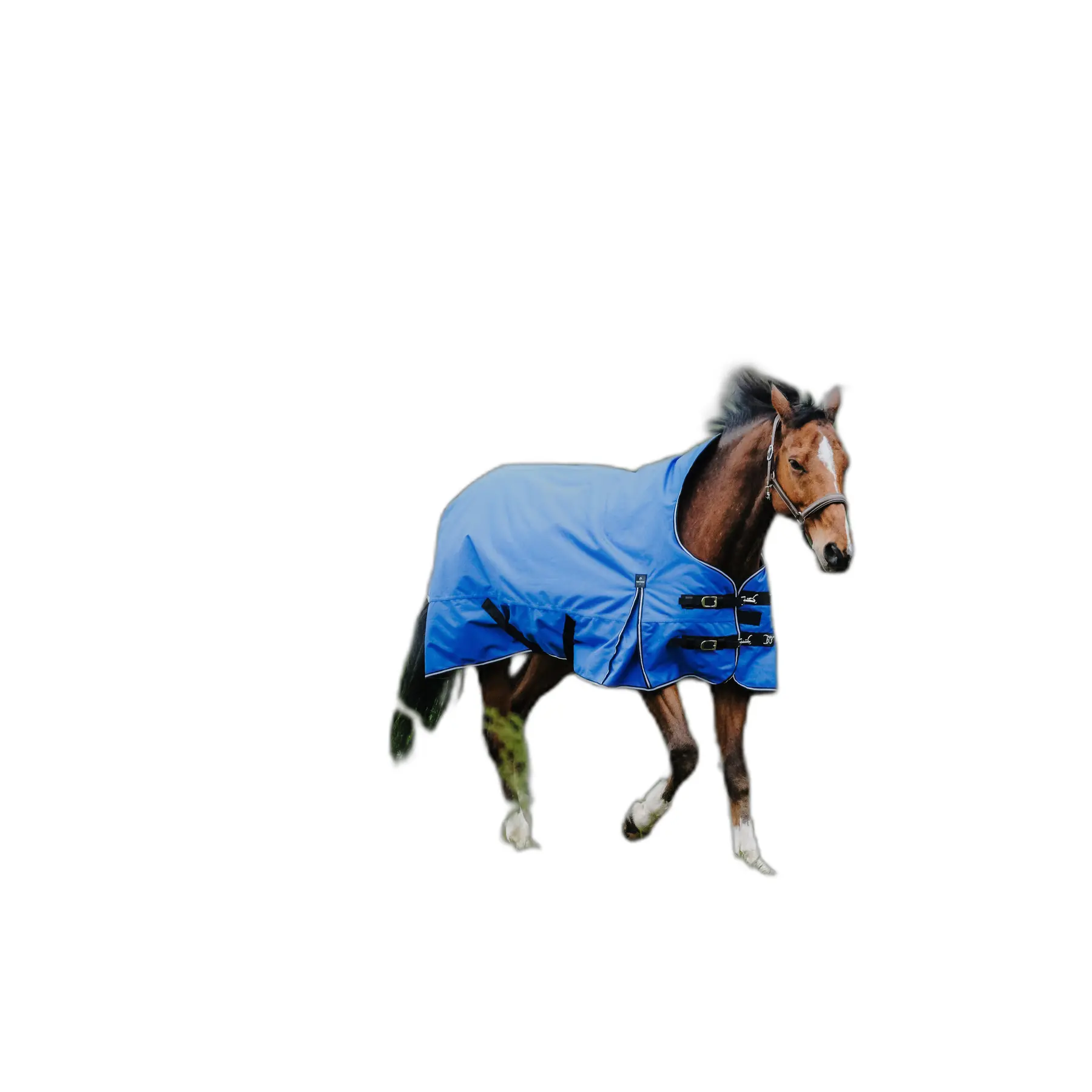 Outdoor blanket for horse with high neck Equithème Tyrex Aisance 1200D 150g