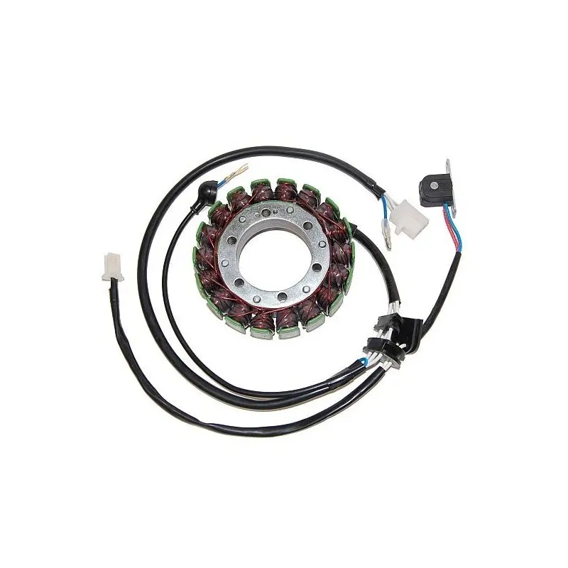Lichtmaschine Motorrad anpassbar Original Electrosport Yamaha