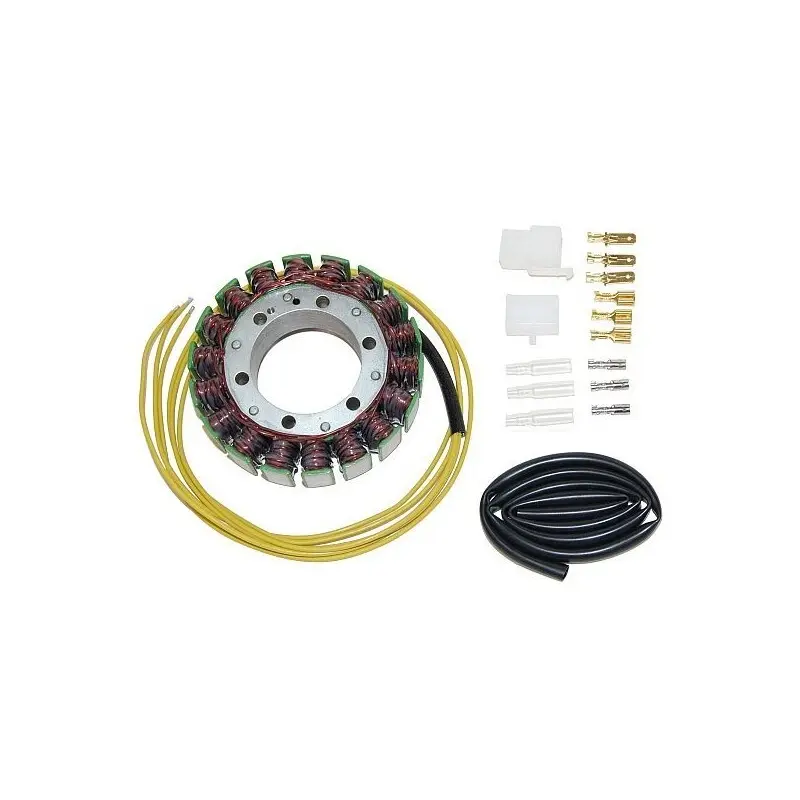 Anpassbare Lichtmaschine Electrosport Honda