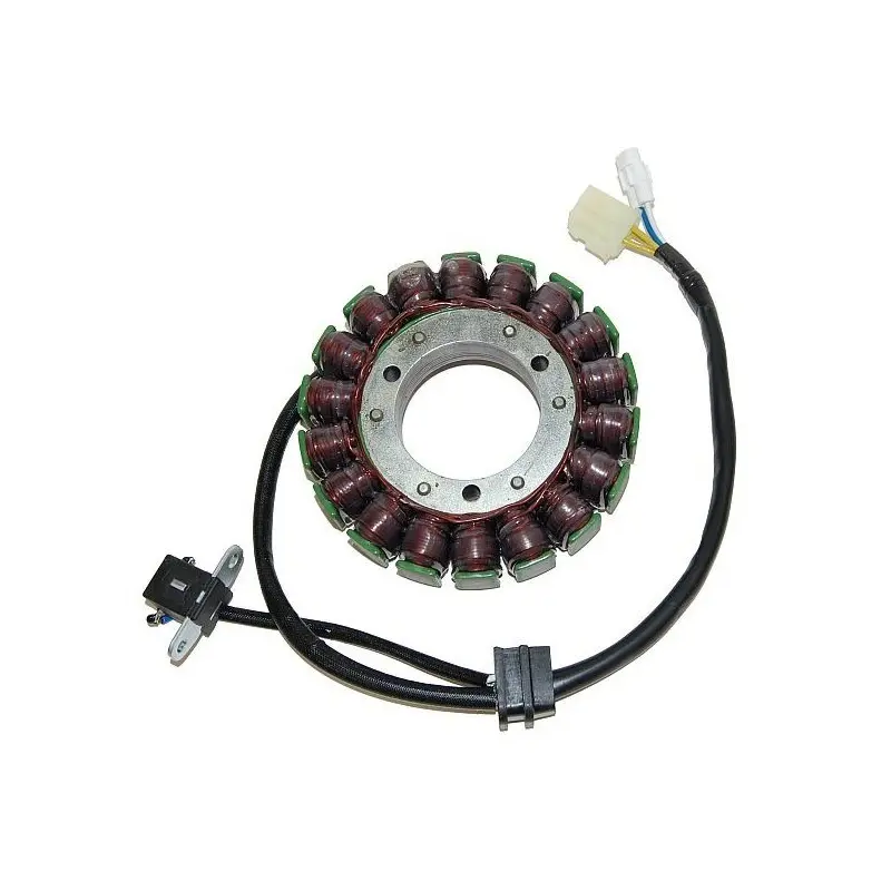 Lichtmaschine Motorrad anpassbar Original Electrosport Suzuki