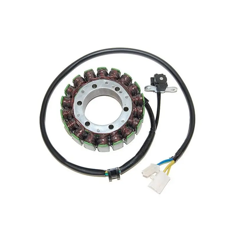 Lichtmaschine Motorrad anpassbar Original Electrosport Suzuki