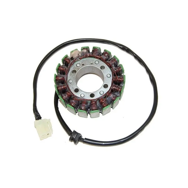 Lichtmaschine Motorrad anpassbar Original Electrosport Triumph