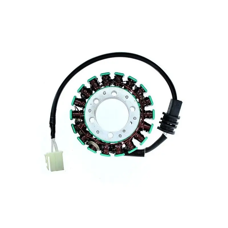 Anpassbare Lichtmaschine Electrosport