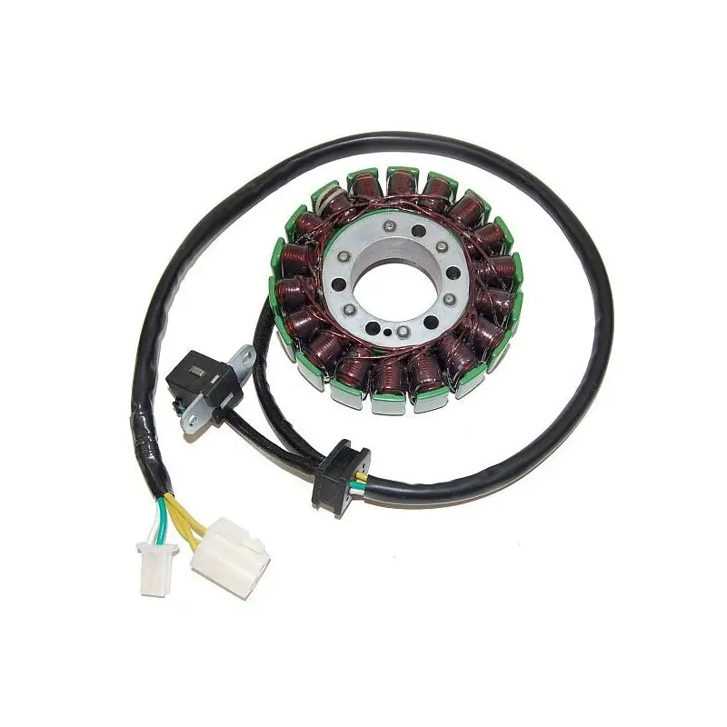 Lichtmaschine Motorrad anpassbar Original Electrosport Suzuki