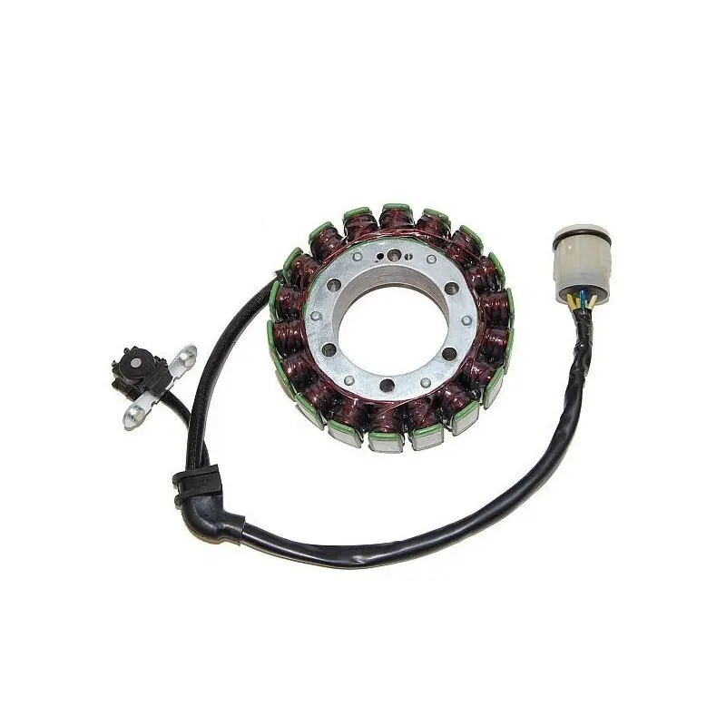 Lichtmaschine Motorrad anpassbar Original Electrosport Aprilia